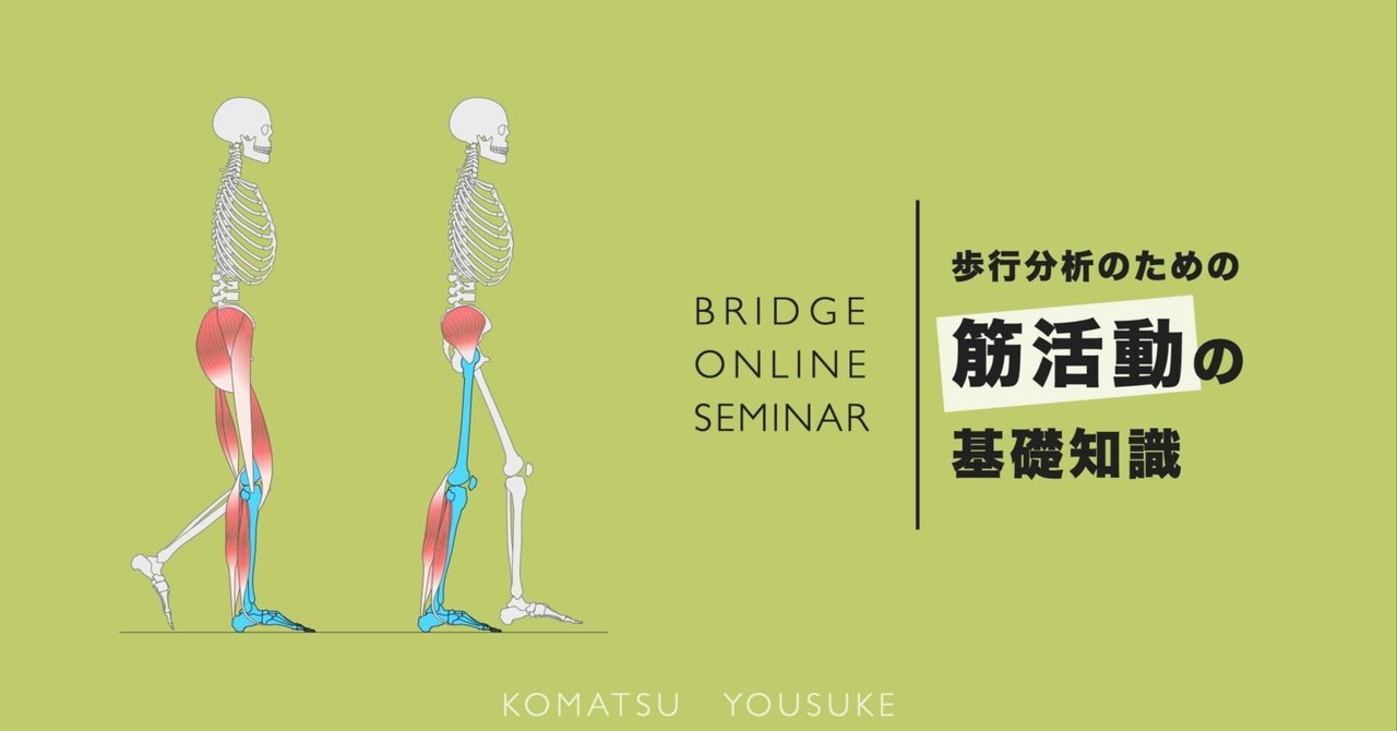 歩行分析のための筋活動の基礎知識｜小松 洋介｜リハビリ・介護