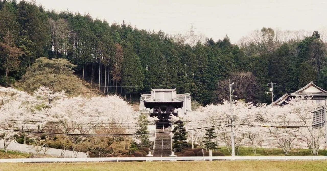 1 順教寺（東広島市河内町）-Temple｜古川いづみ