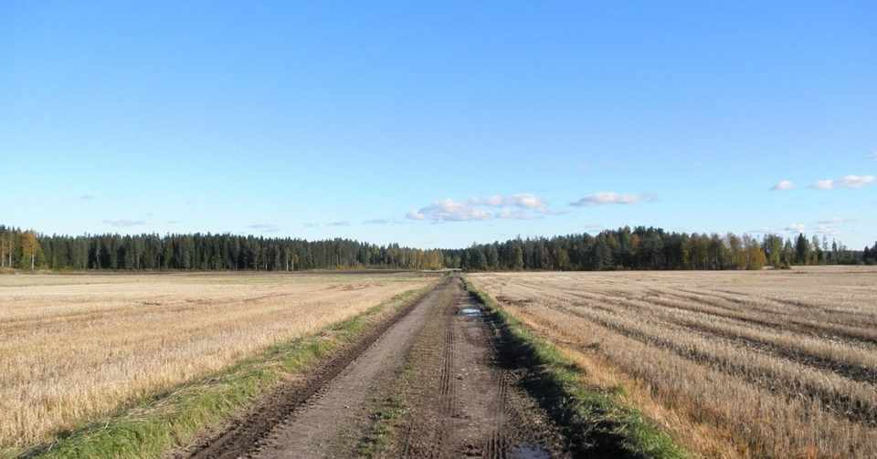 どこまでも平らな大地に暮らして 平井久仁子 Note