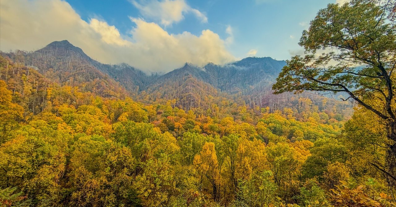アメリカ旅行記🇺🇸】世界遺産グレート・スモーキー編 来場者数No.1の