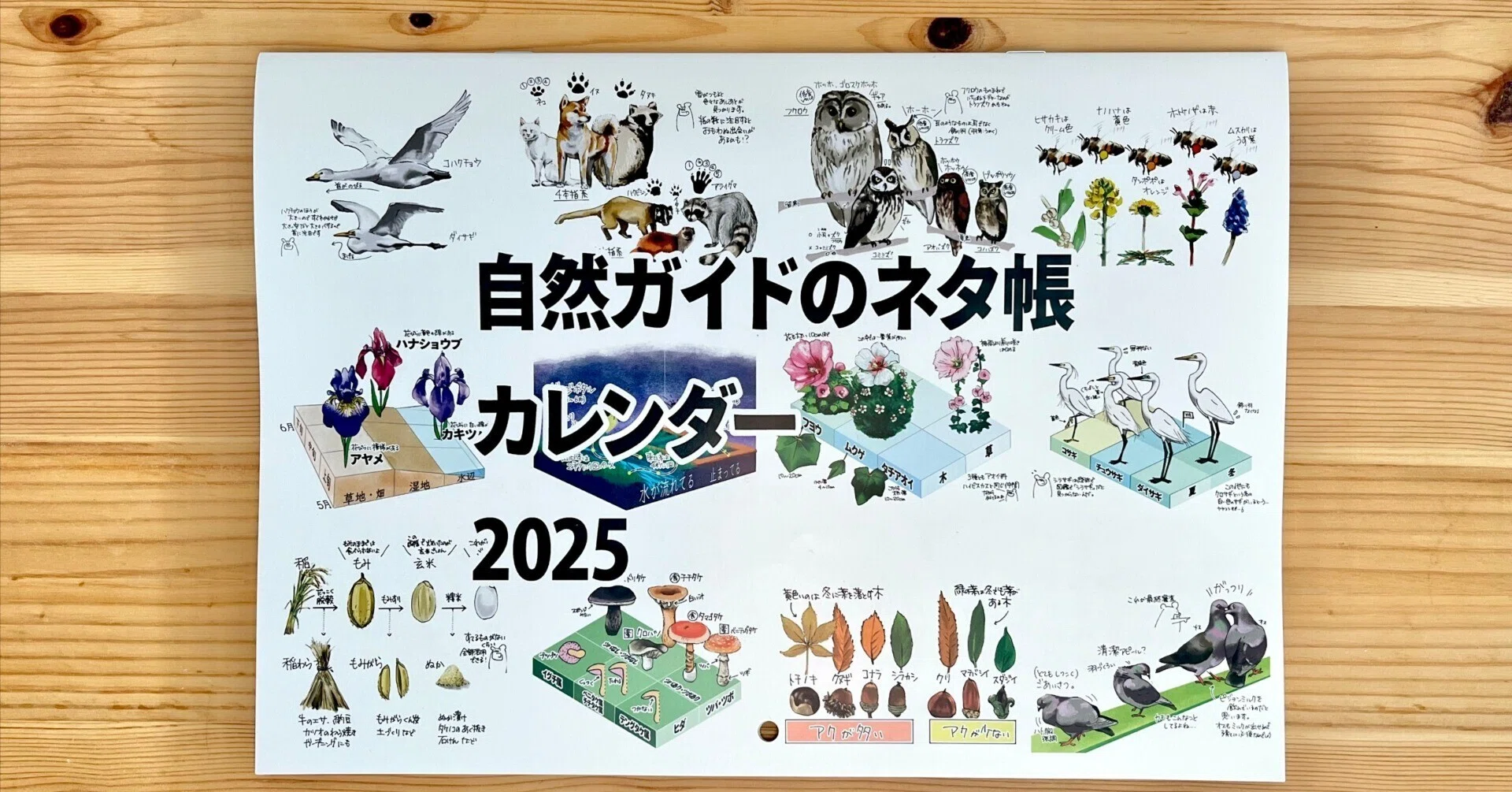 STI カレンダー 2020-2025年 6冊セット 2025年版 「STIカレンダー」 「STIダイアリー」発売決定のお知らせ