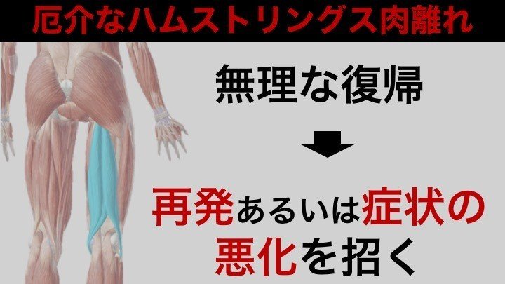 肉離れを知る サッカー選手 向けフィジカルサポートnote 石橋 哲平 Note