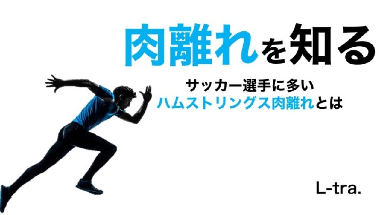 肉離れを知る サッカー選手 向けフィジカルサポートnote 石橋 哲平 Note 肉離れを知る サッカー選手 向けフィジカルサポートnote 石橋 哲平 Note