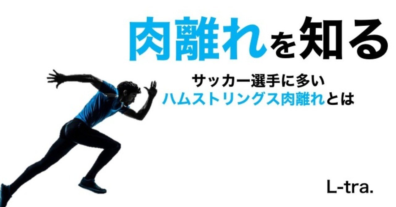 肉離れを知る サッカー選手 向けフィジカルサポートnote 石橋 哲平 Note