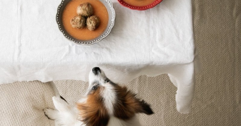 ミートボールとじゃがいもにんじんポタージュ 手作り犬おやつレシピ いちかわあやこ 犬ごはん先生 Note