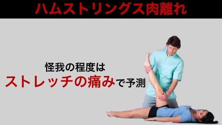 肉離れを知る サッカー選手 向けフィジカルサポートnote 石橋 哲平 Note 肉離れを知る サッカー選手 向けフィジカルサポートnote 石橋 哲平 Note