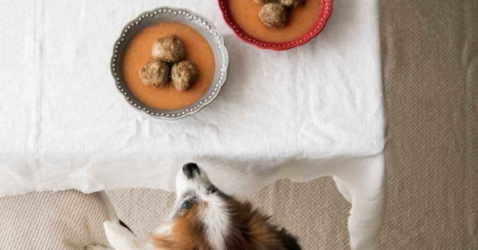 ミートボールとじゃがいもにんじんポタージュ 手作り犬おやつレシピ いちかわあやこ 犬ごはん先生 Note
