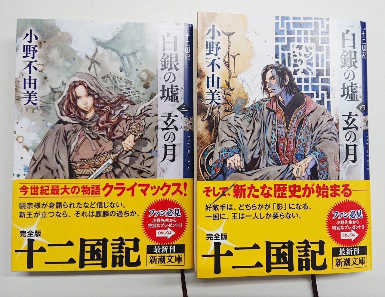 十二国記 の 白銀の墟 玄の月 を読了する サイバーコネクトツー Note