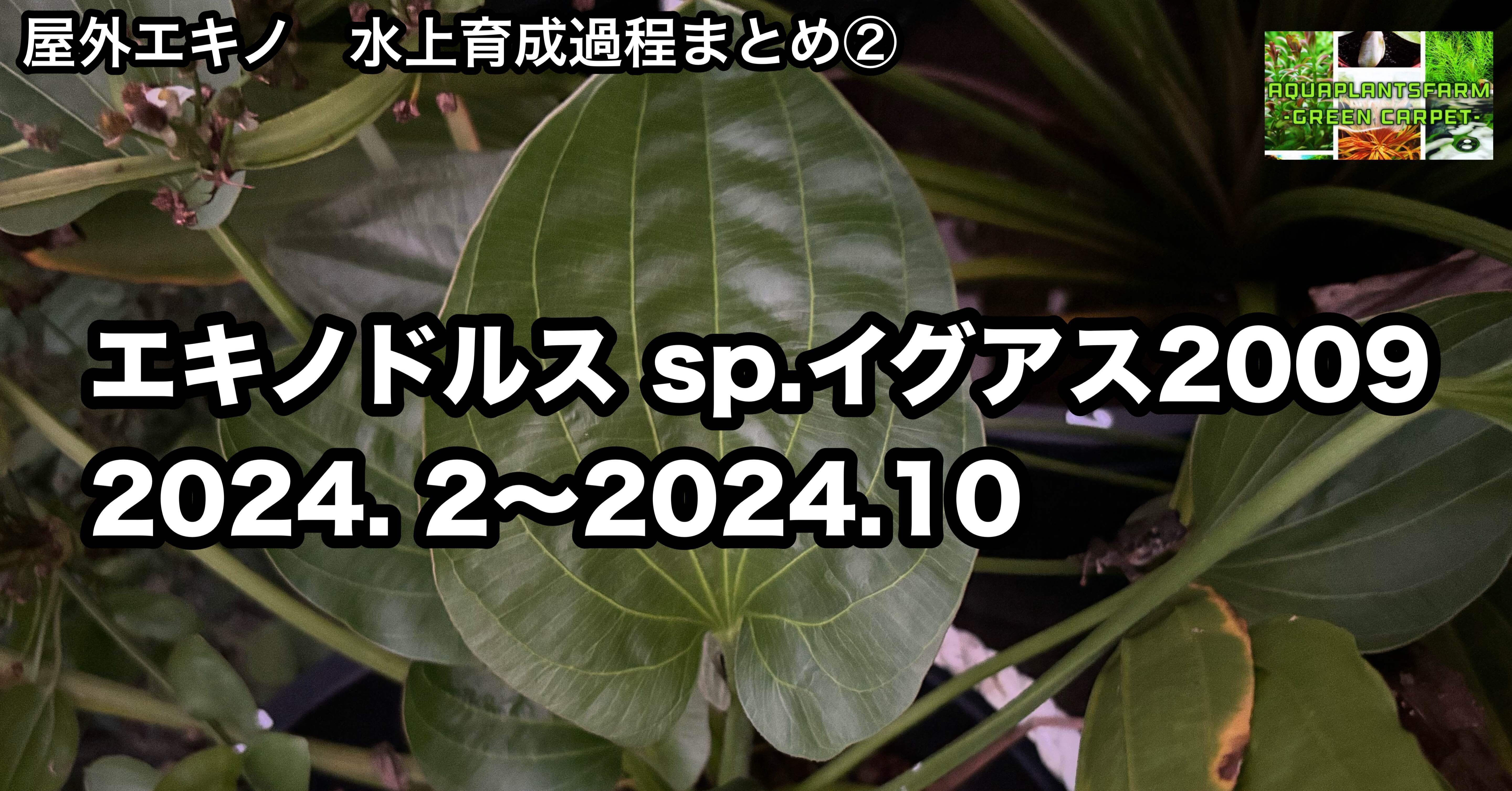 98ce13d21fd4ef3e310e745ddc73d1