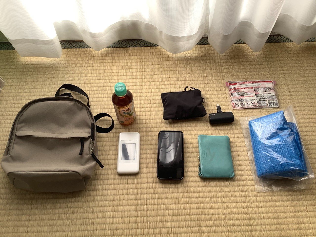 ミニマリスト 東京ディズニーシーへ行く 準備編 持ち物全解説 マナミ Note ミニマリスト 東京ディズニーシーへ行く 準備編 持ち物全解説 マナミ Note