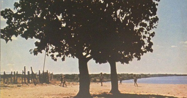 ブラジル音楽が大好き！④ Nelson Angelo E Joyce｜茂