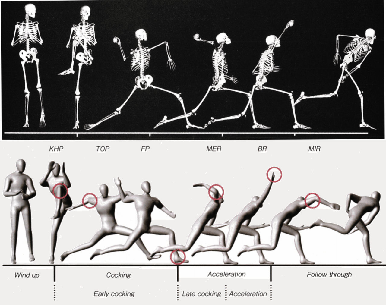 投球フォームを考える 基礎編 深町太一朗 Note 投球フォームを考える 基礎編 深町太一朗 Note