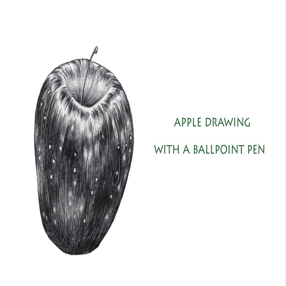 ボールペンでリンゴを描こう｜ねこのおなか