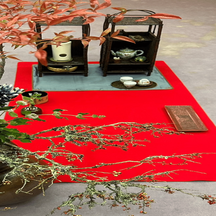 ウメノキゴケ 『華道未生流展』で出会った植物たち｜EGGSEED