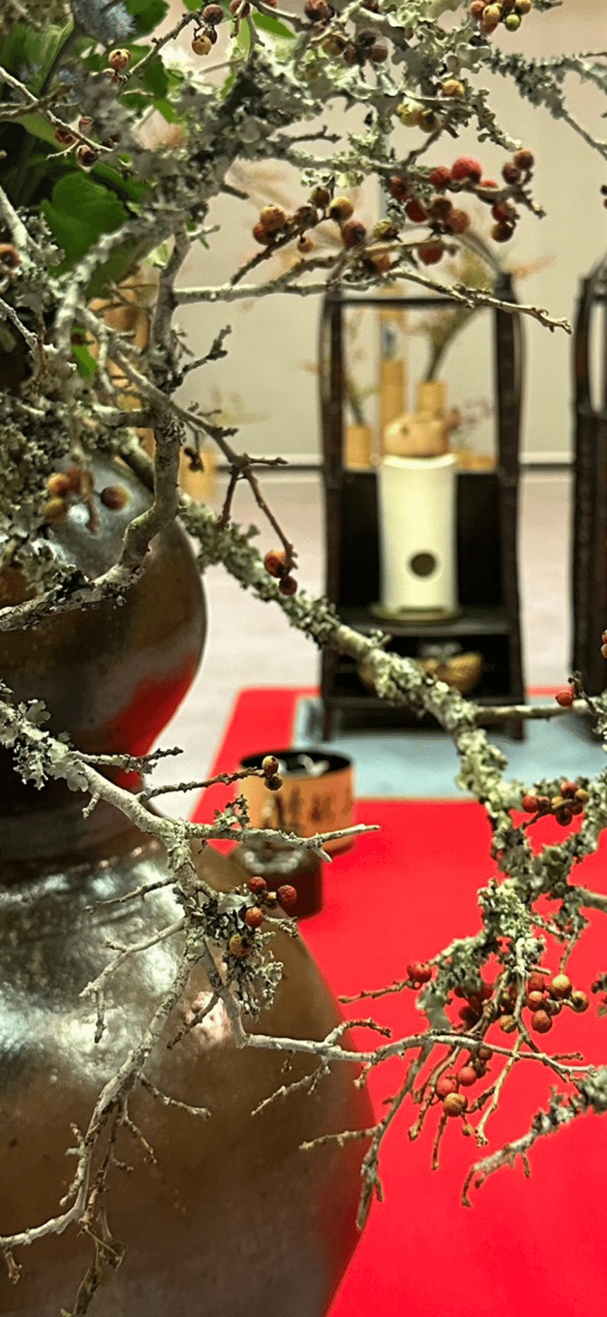 ウメノキゴケ 『華道未生流展』で出会った植物たち｜EGGSEED