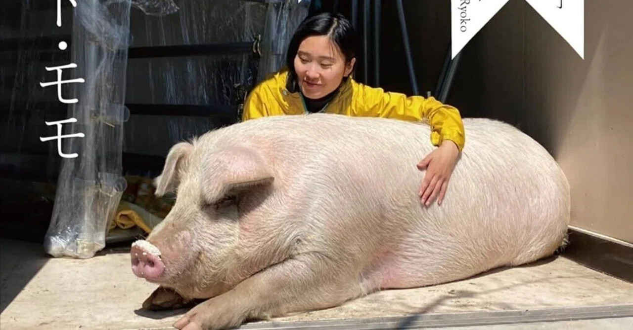 田籠由美評 八島良子『メメント・モモ――豚を育て、屠畜して、食べて