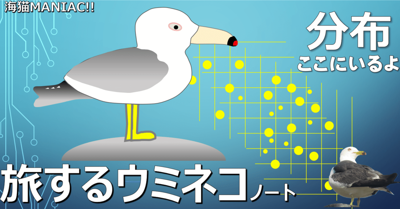 関昆布美ルート *2個 shark-lmulti_n01.jpg