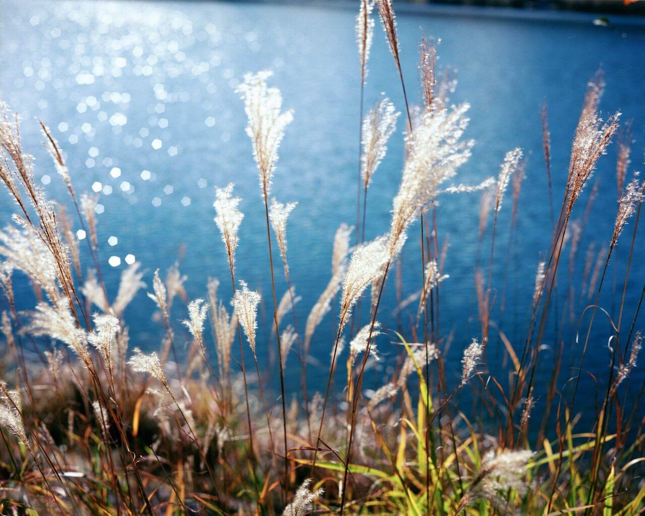 アウトドアにPLAUBEL Makina 67を持っていったらどんな写真が撮れた