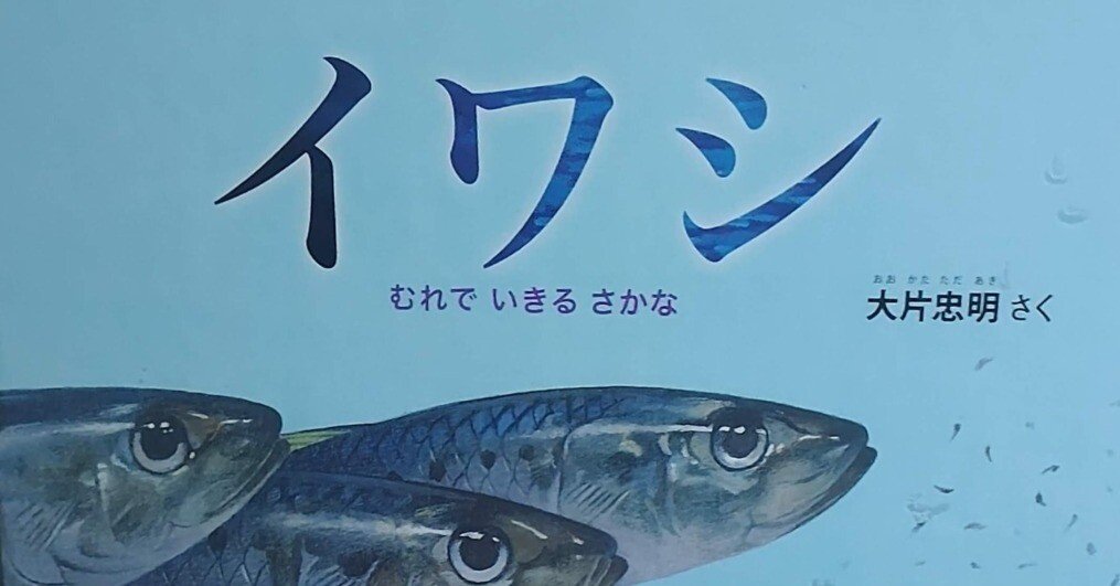 イカとイワシの手書きの画像 イカとイワシの手書きの画像