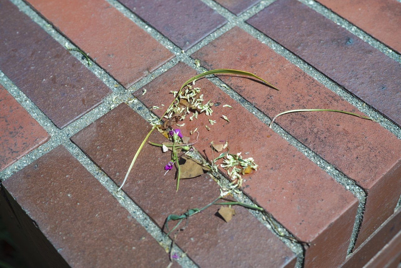 Leica Summicron 50mm f/2 1st Collapsible（沈胴ズミクロン