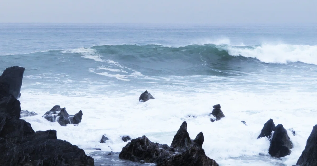 うねり：三浦半島荒崎海岸｜穂高渓太郎