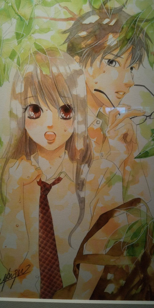 佐竹本三十六歌仙絵と王朝の美』京都国立博物館／観てきました