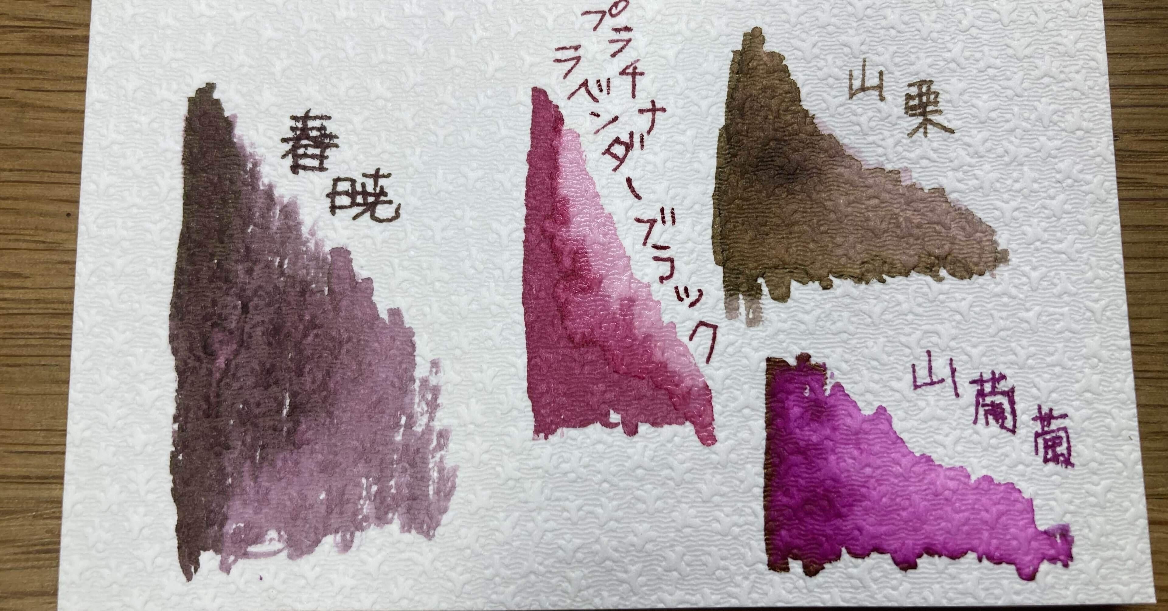 パイロット色彩雫『春暁』が届いた｜伽羅