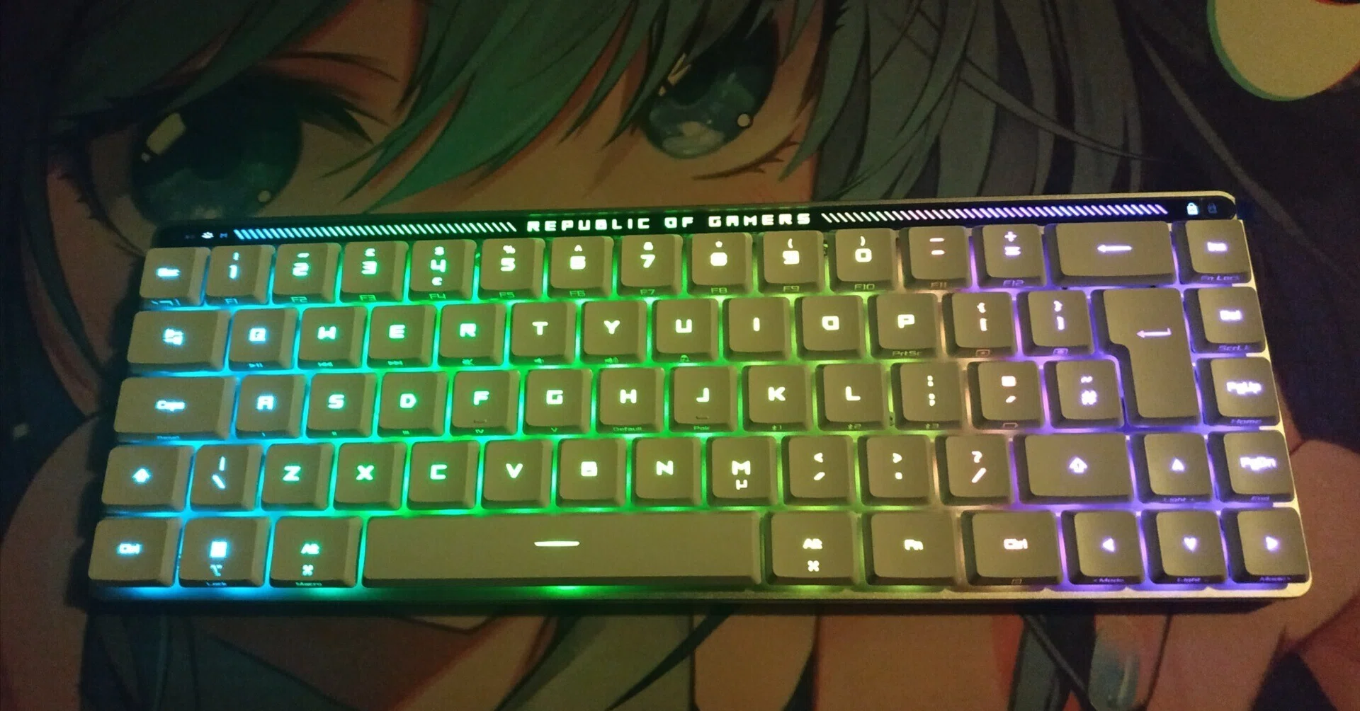 ROG Falchion RX Low Profile(UK)個人的レビュー|10Q ROG Falchion RX Low Profile(UK)個人的レビュー|10Q