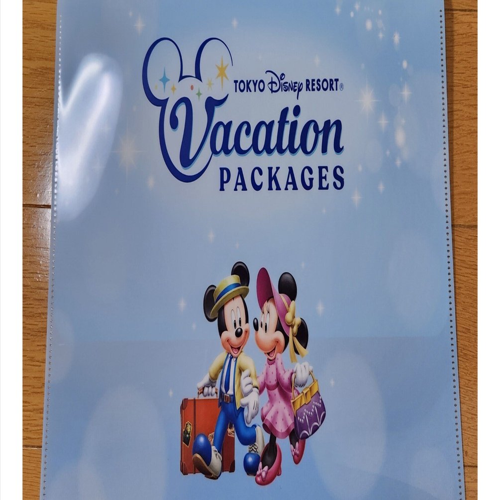 必見】ディズニーバケーションパッケージ✨🏰｜【旅行日記】ゆきんちゃん