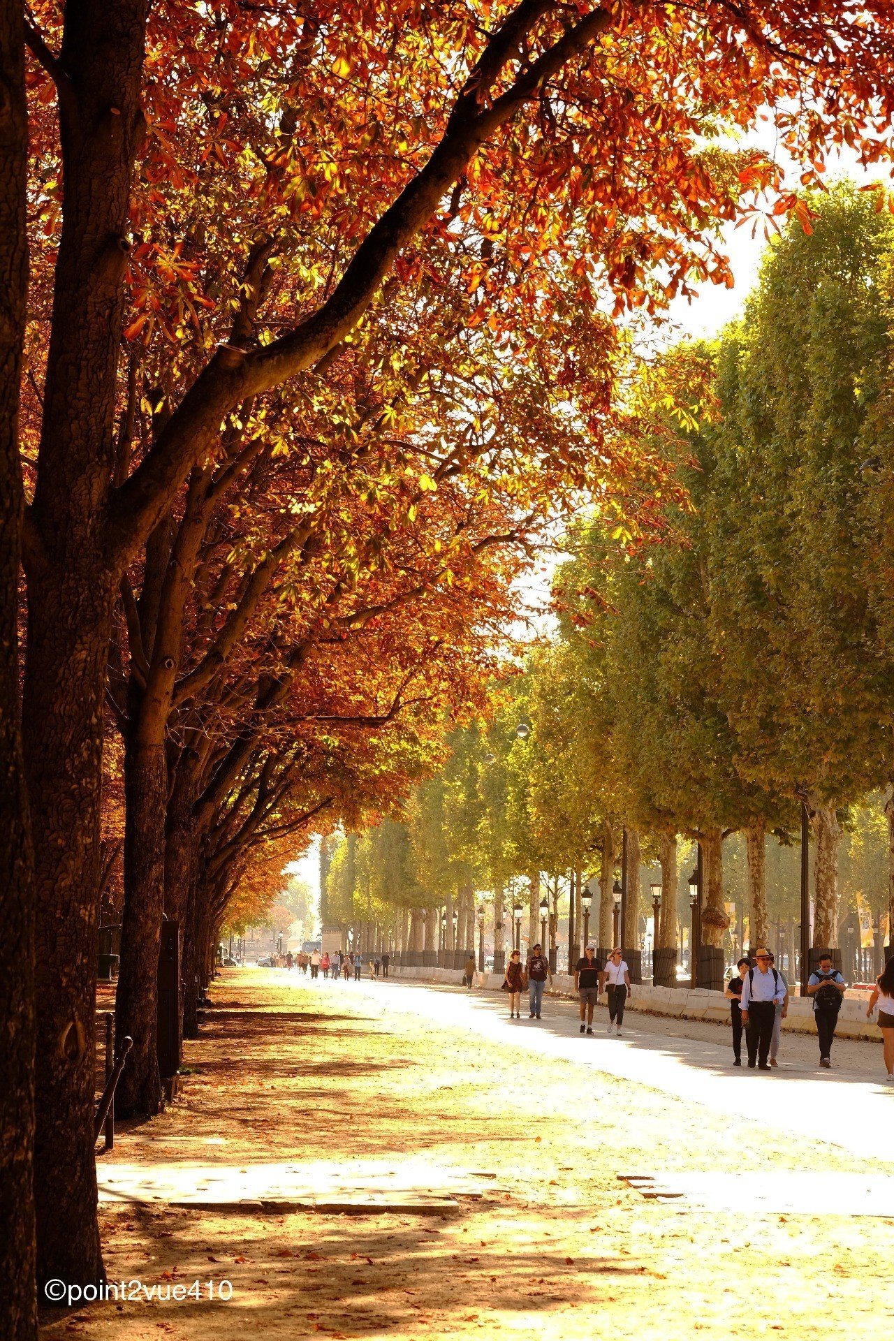 桐一葉 松川行雄 ストラテジスト 小説家 Note