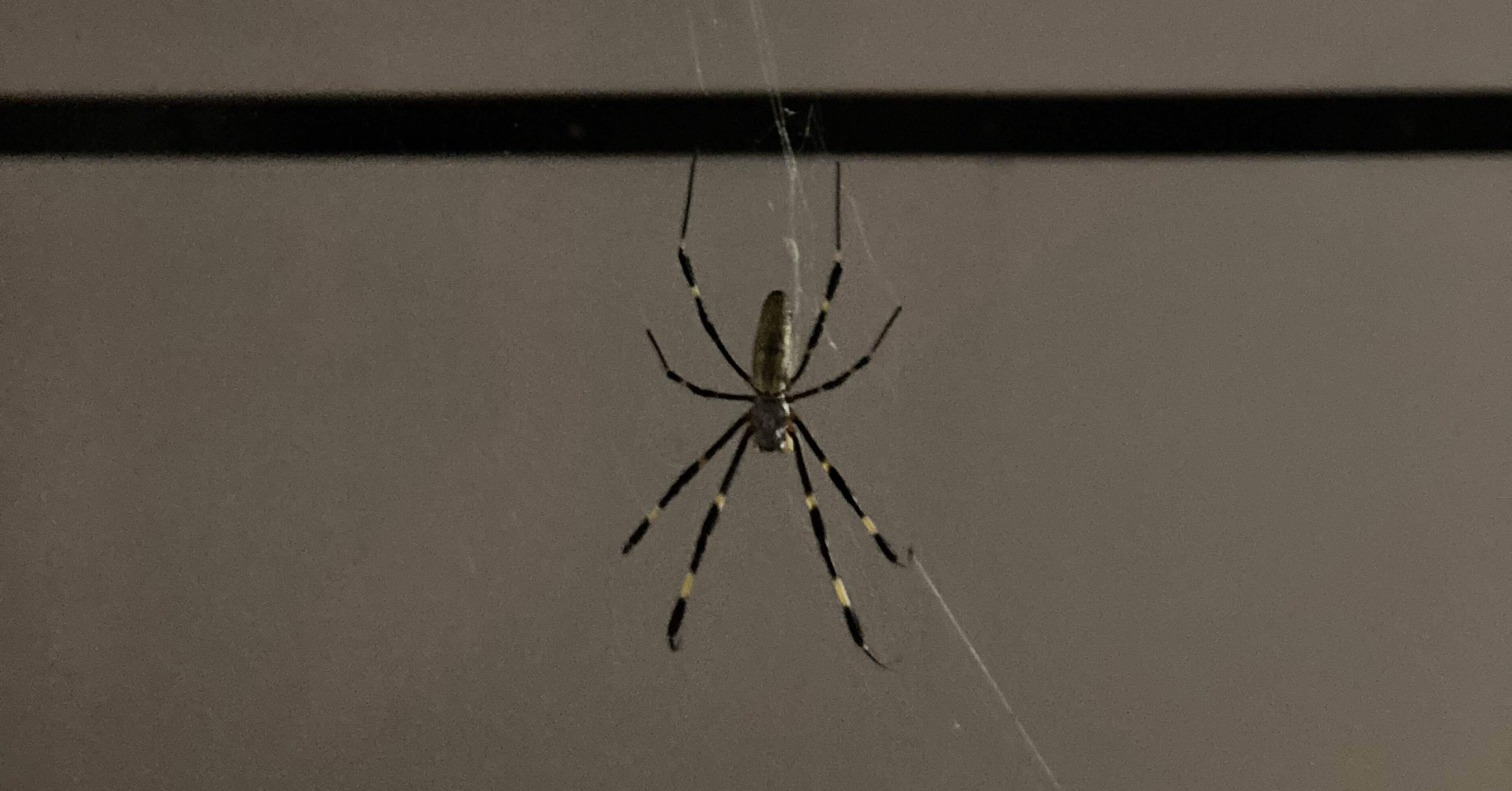 b58155c1de05ed41ea3653ce92ac0c