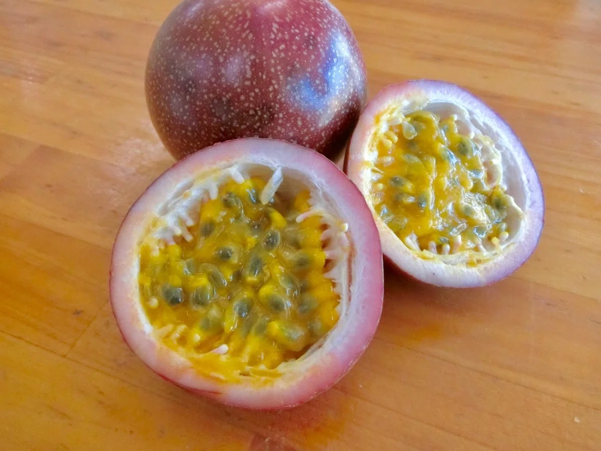 画像6