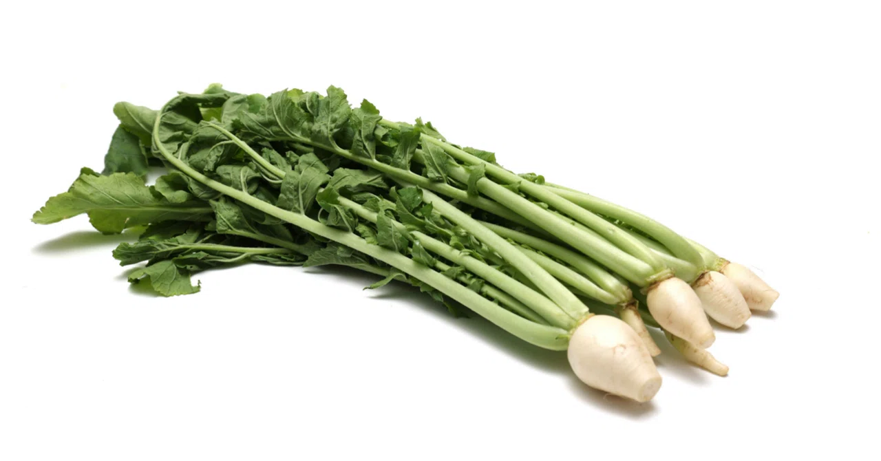 葉大根（はだいこん）/Ha-daikon, Leaf radish/Raphanus sativusj