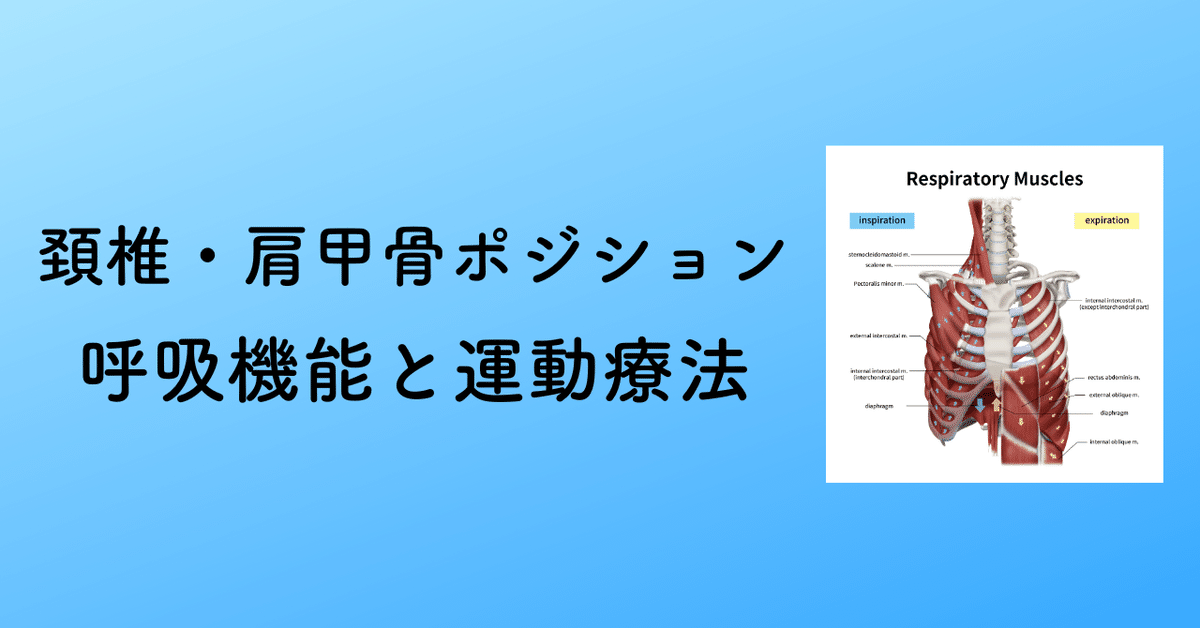 FRAT 呼吸と関節運動による機能化技法 DVD｜FRAT－呼吸と関節運動