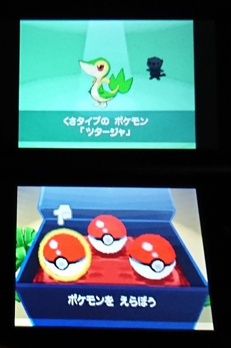 ポケモンやってます 福井市の水上さん Note ポケモンやってます 福井市の水上さん Note