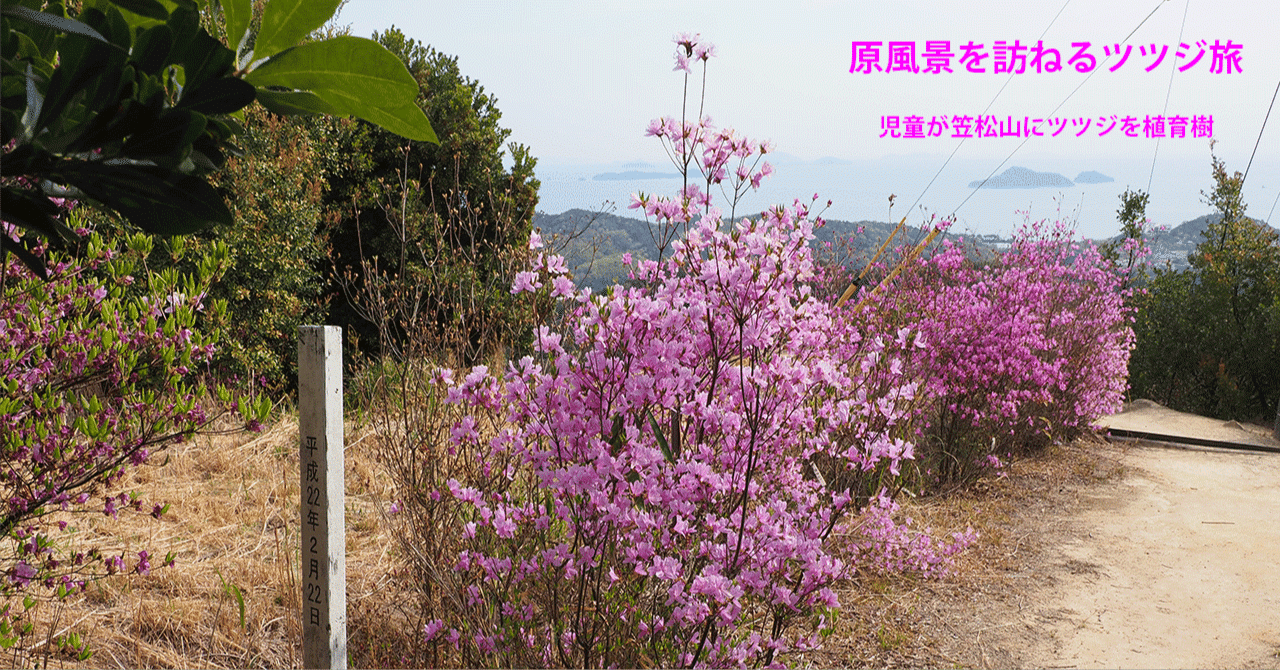 61．児童が笠松山にツツジを植育樹｜sasayan