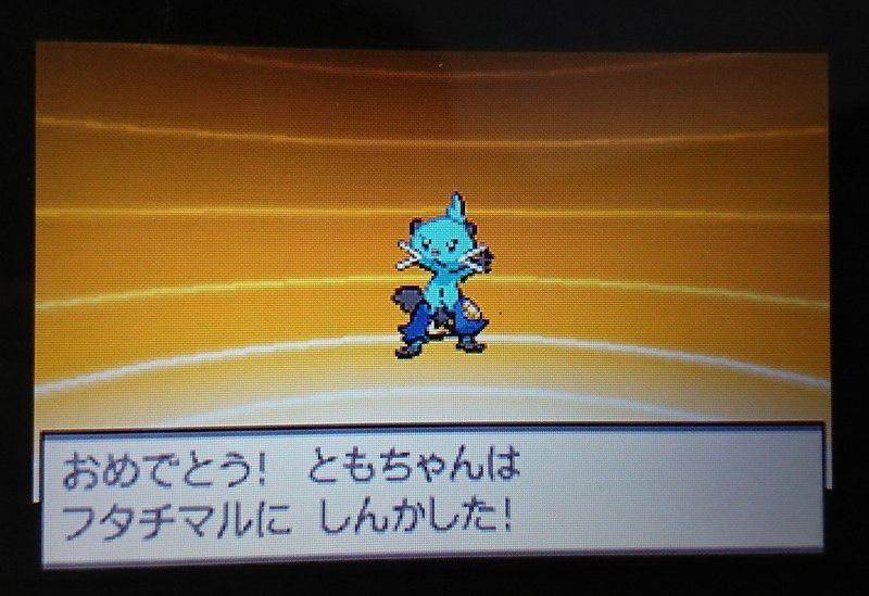 ポケモンやってます 福井市の水上さん Note
