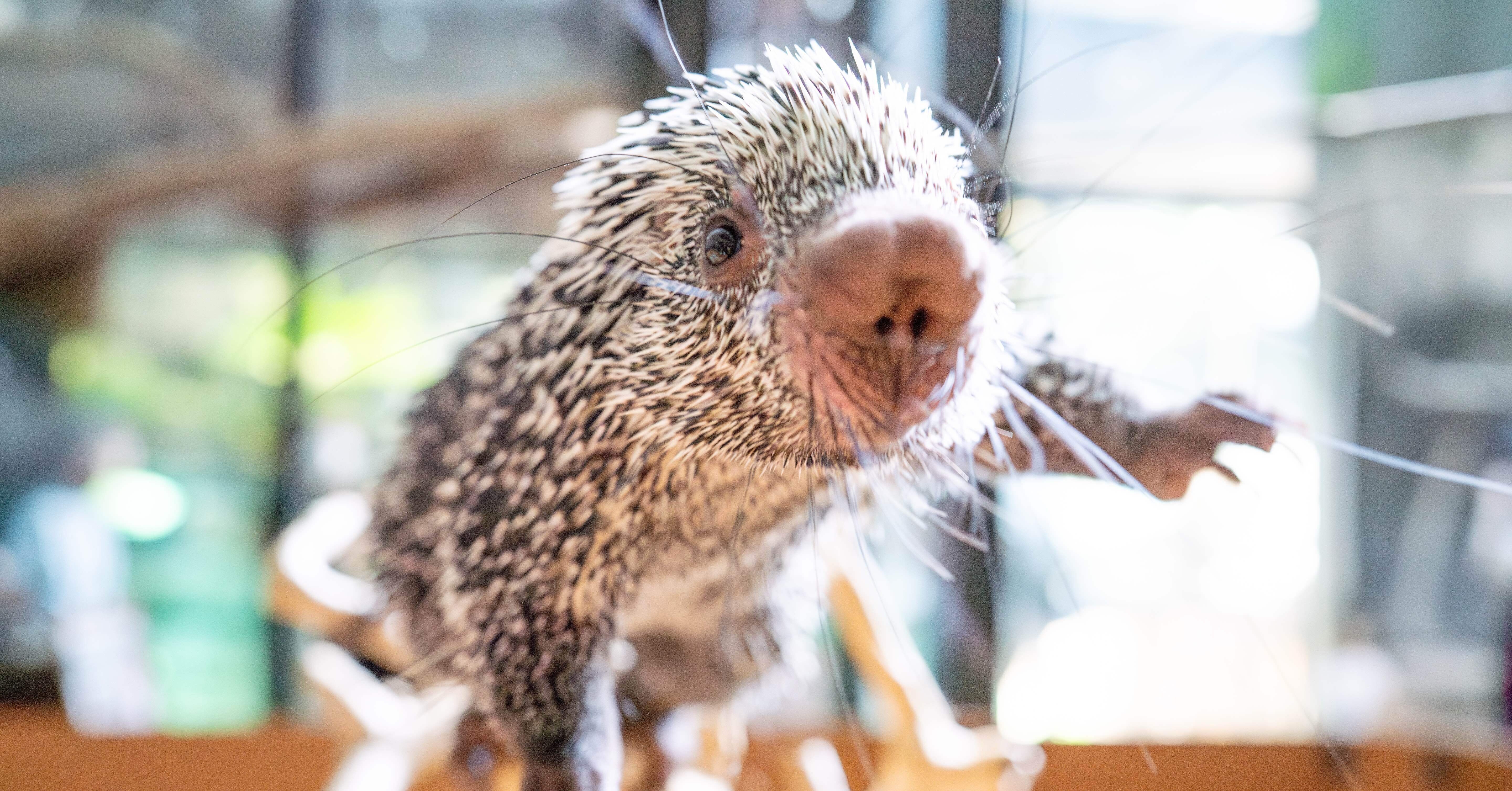 9cb4ee73463640d5a6a293d6335e6e