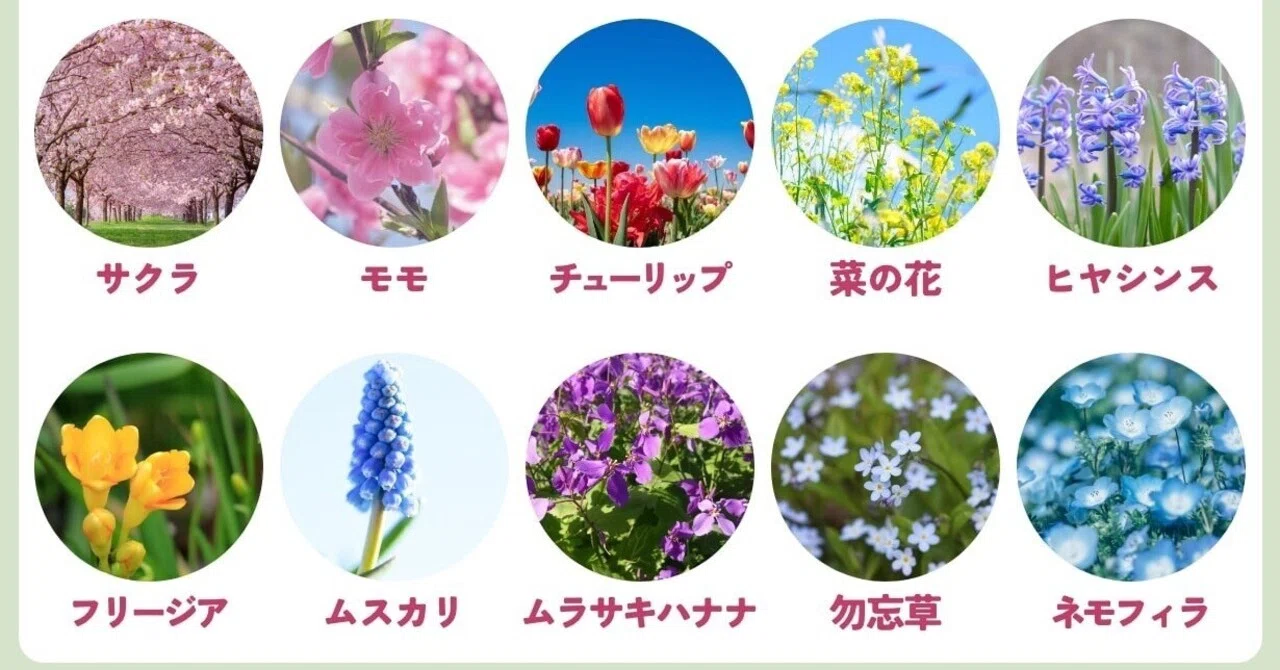 花 人気 ランキング