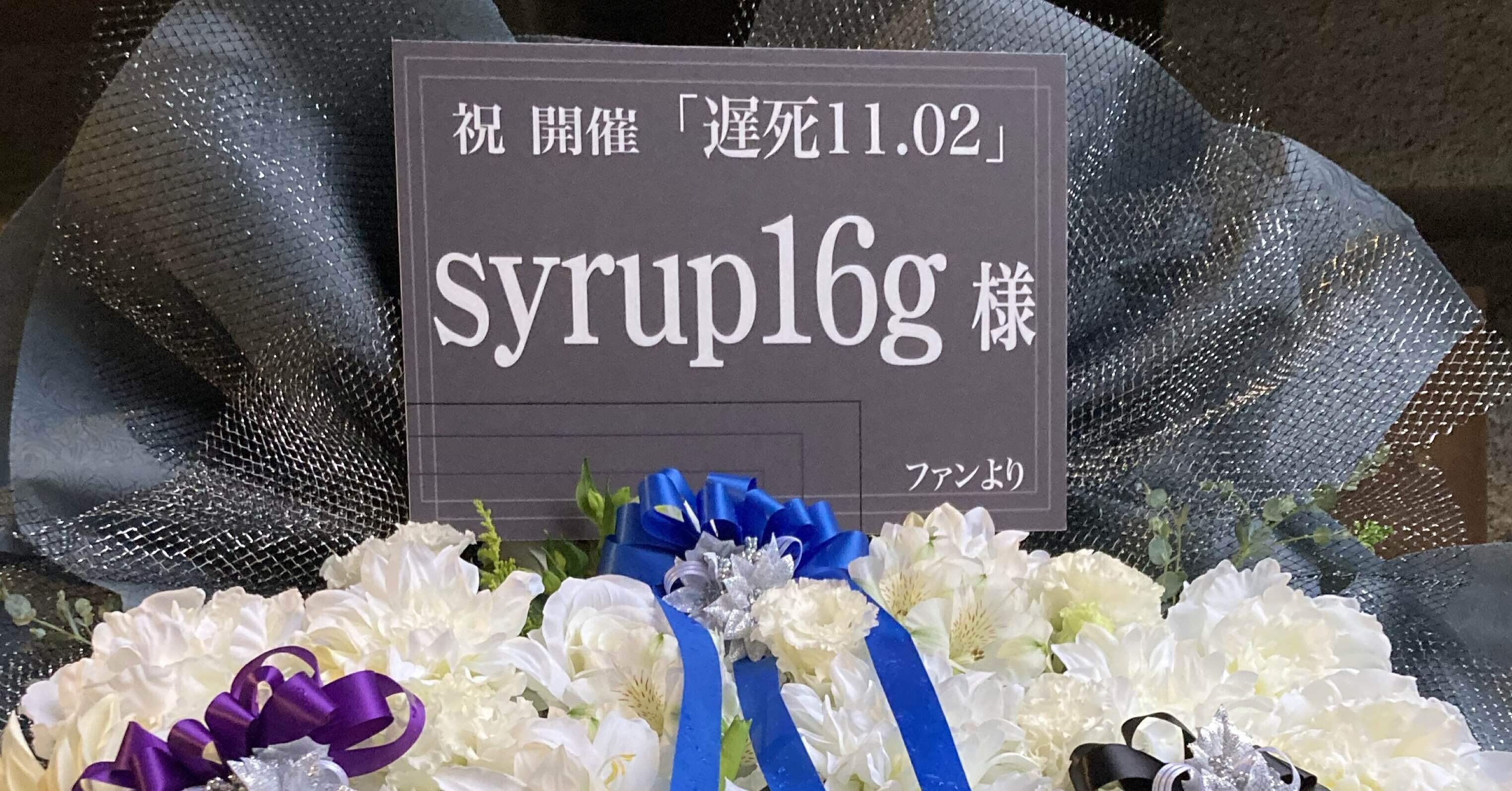 完売品】syrup16g 遅死11.02 Delayded パーカー 黒 L syrup16g 美品