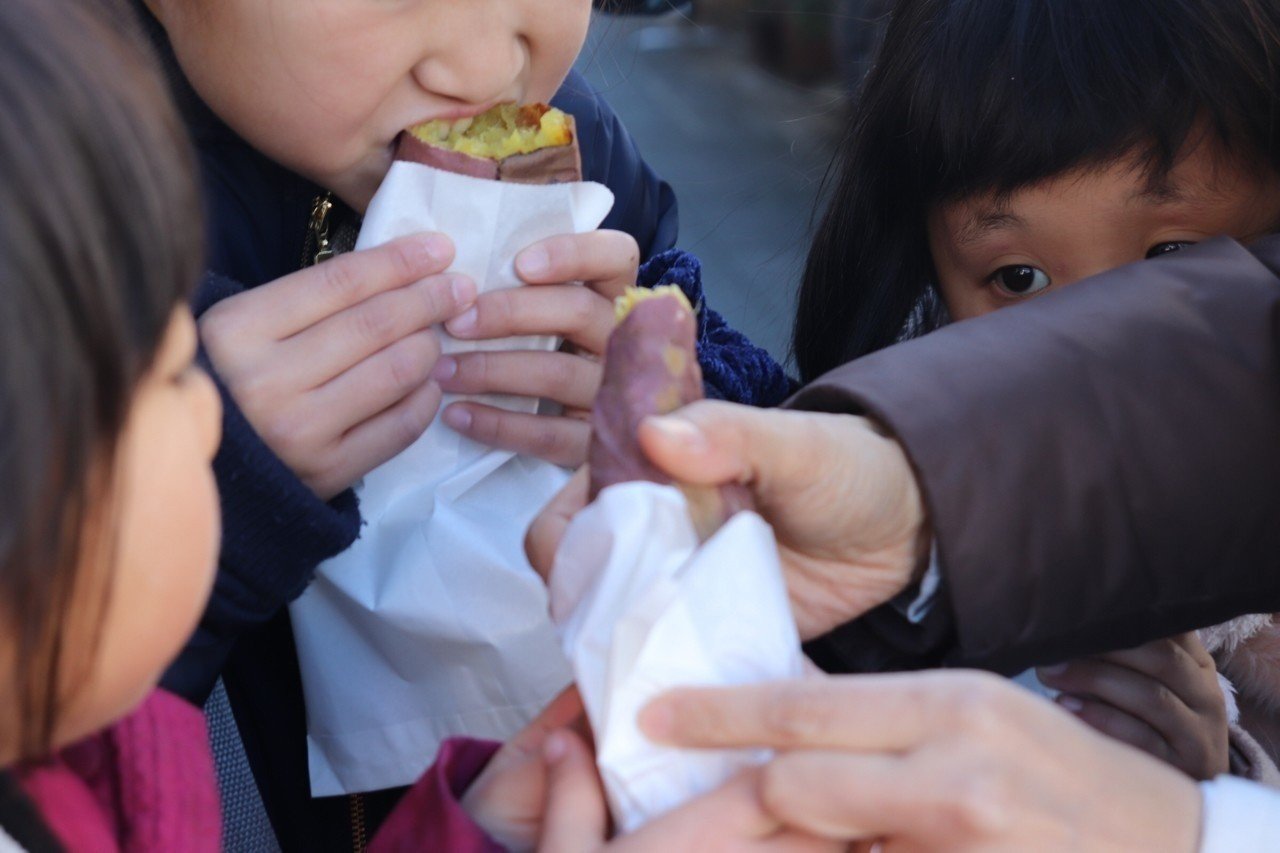 11月11月5日 藤原てい 流れる星は生きている 久恒 啓一 Note