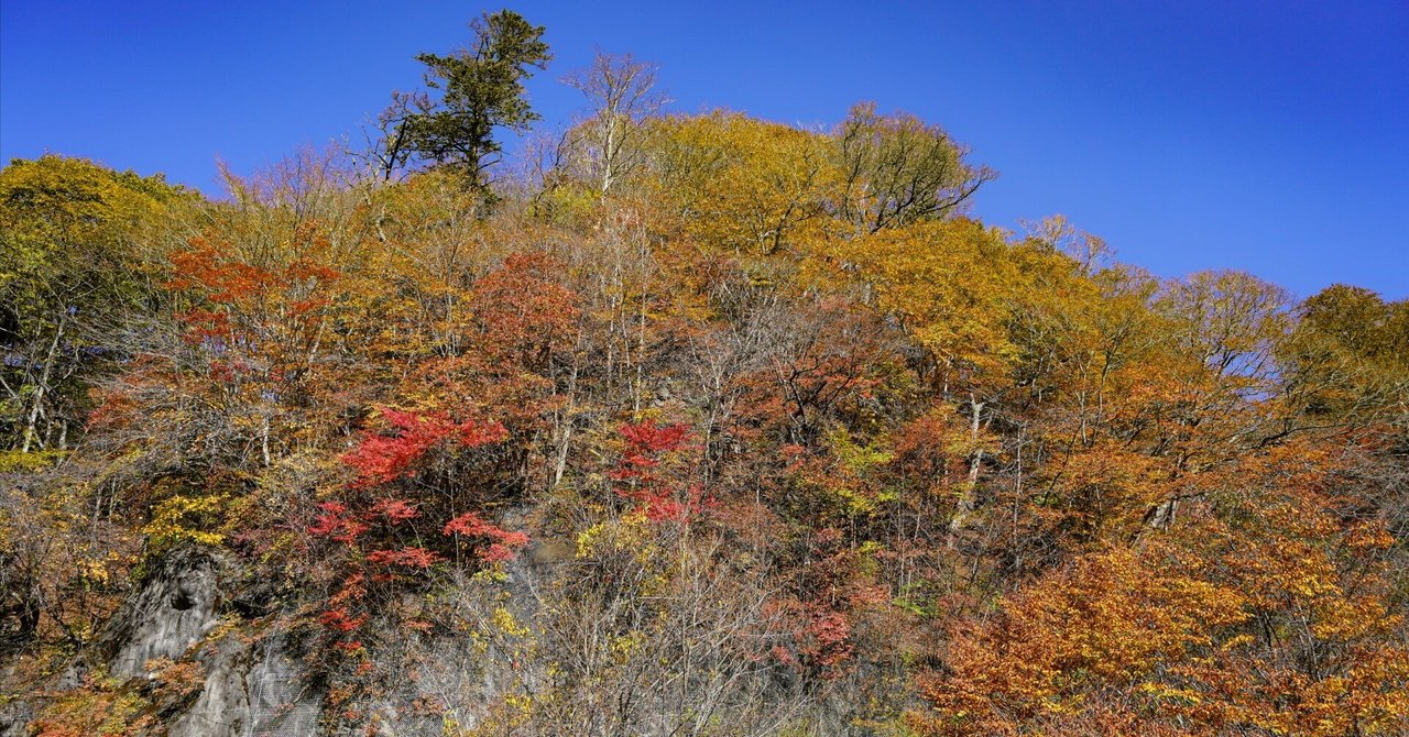 rectangle_large_type_2_3d7d71b