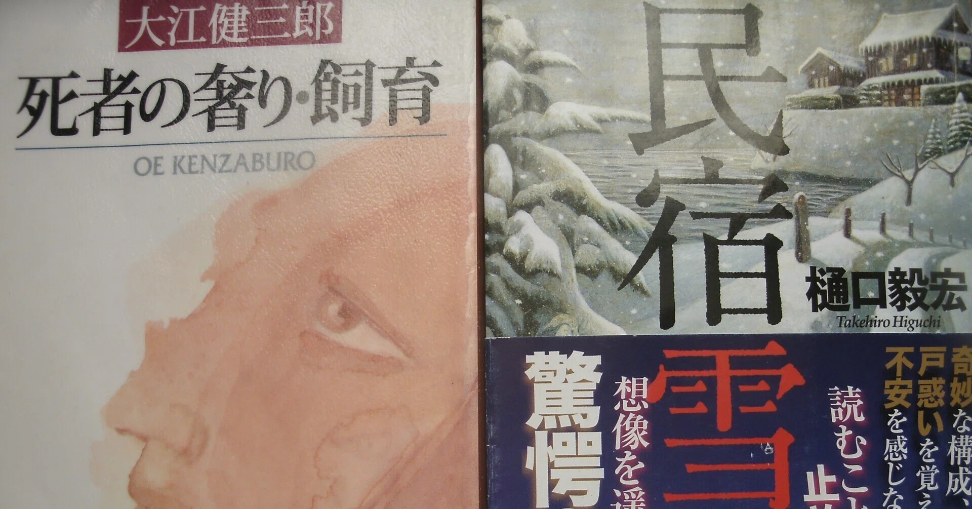 大江健三郎『死者の奢り』と町山智浩の「読解力」｜些流透