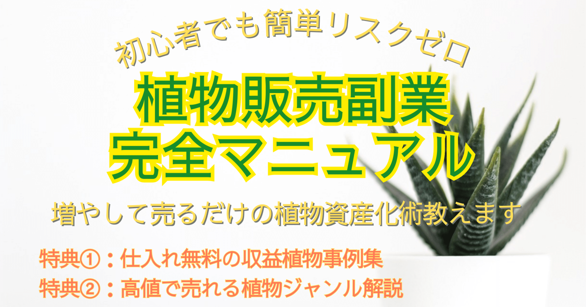 【★超目玉】 ネットでかんたん 副業マニュアル 繁殖ビジネス ビジネス・経済