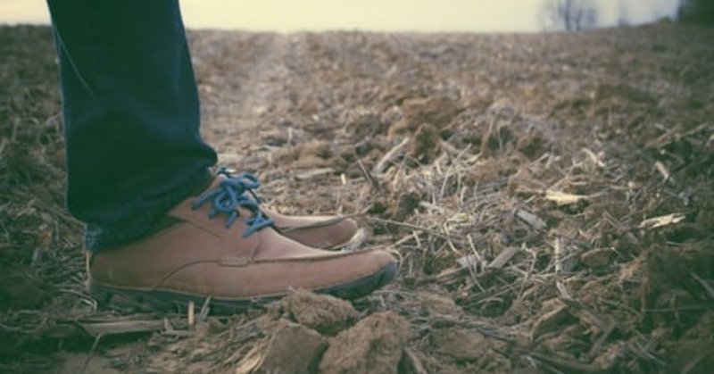 おじいちゃんおばあちゃんへのオススメプレゼント ゴリさん Note