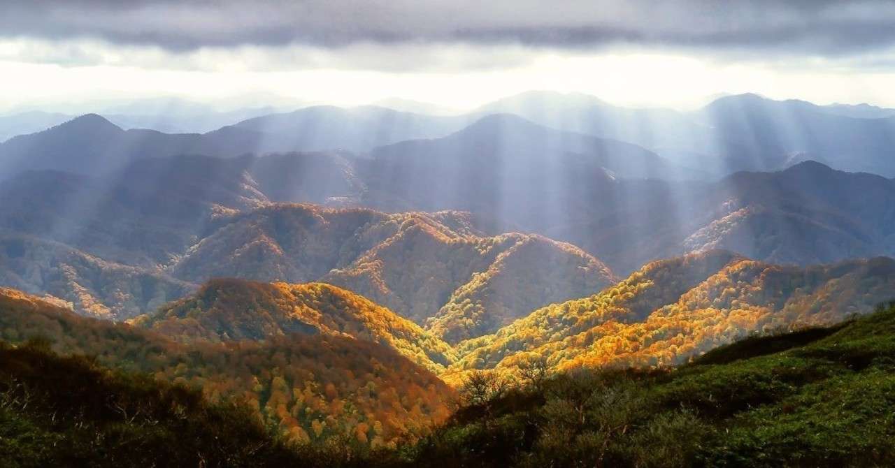 秋の山