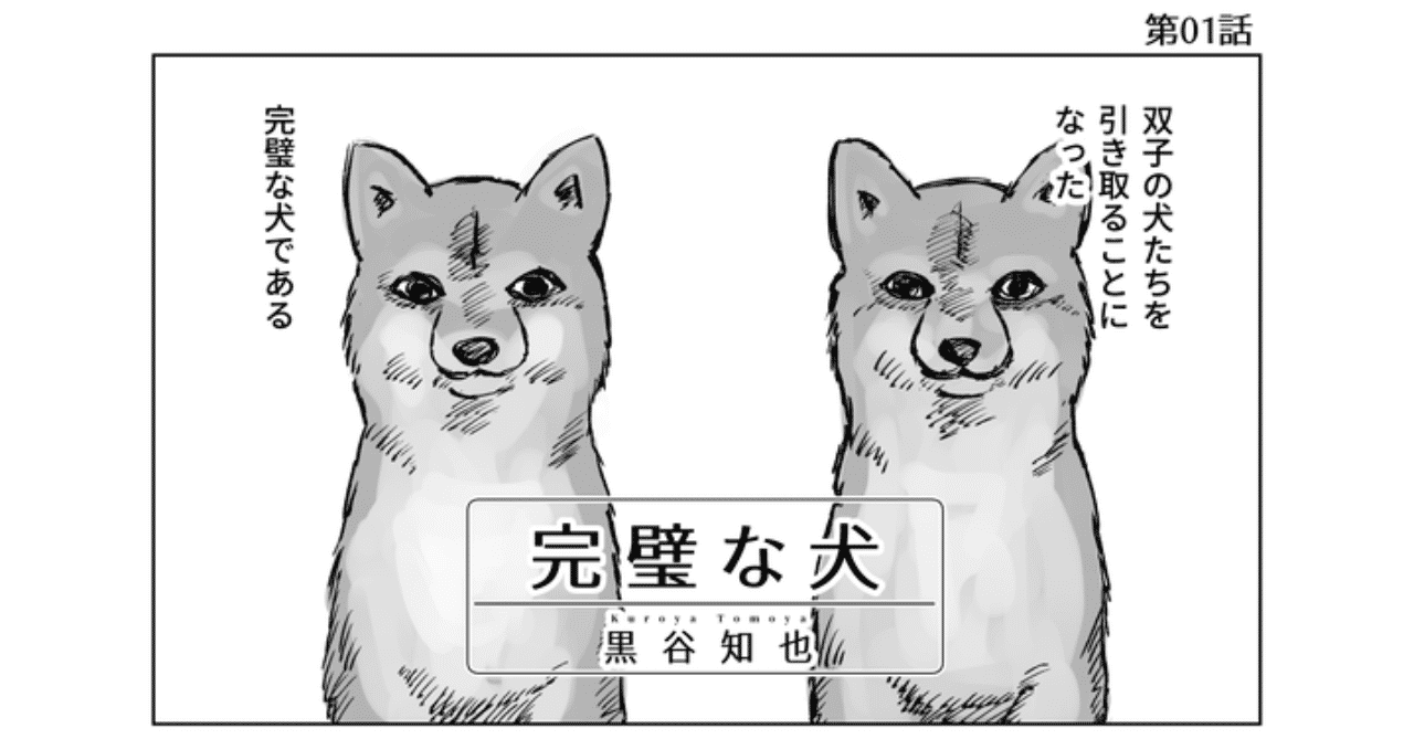 完璧な犬_001