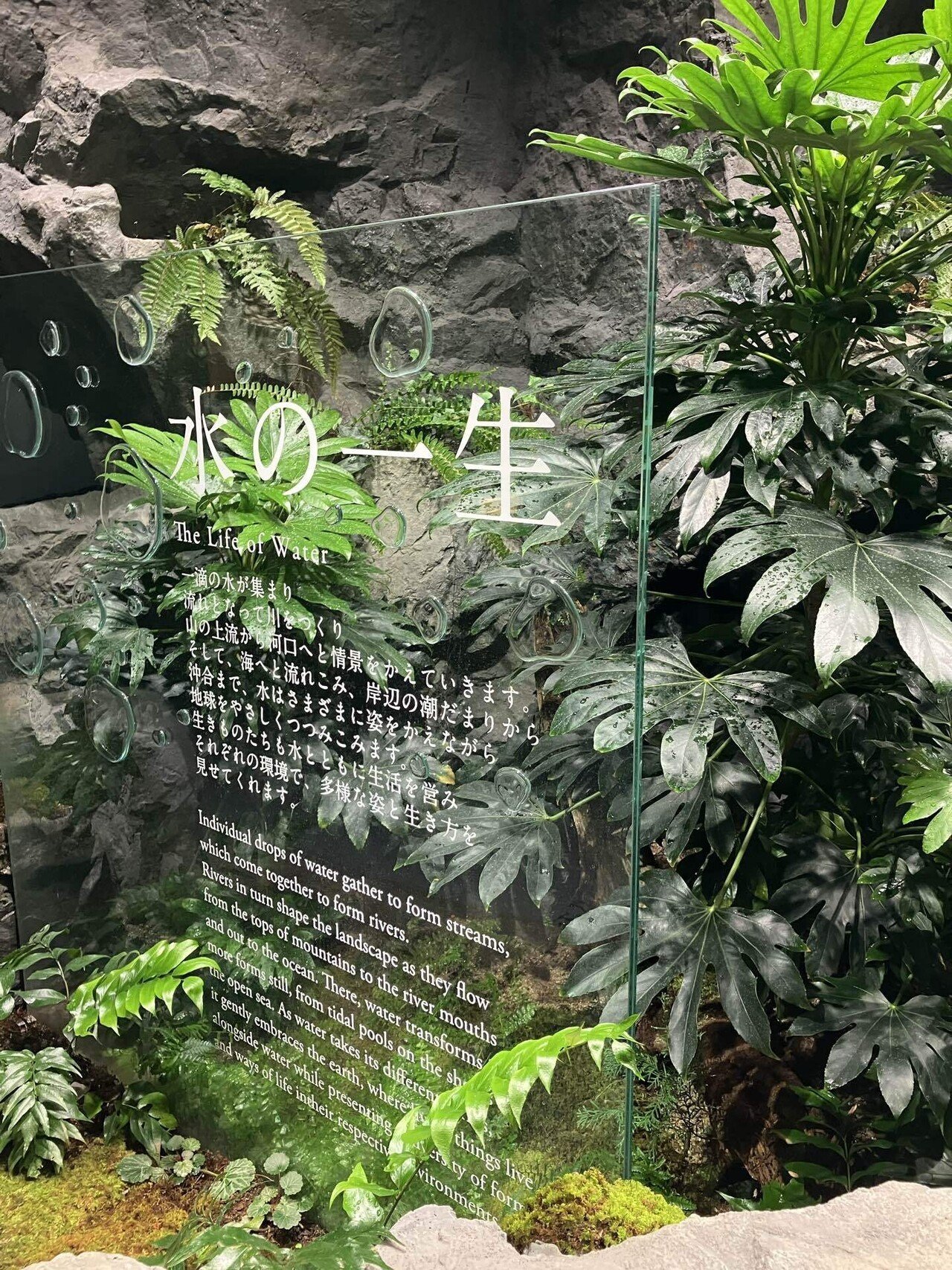 須磨シーワールド＆シャチが見えるレストラン #子連れお出かけレビュー