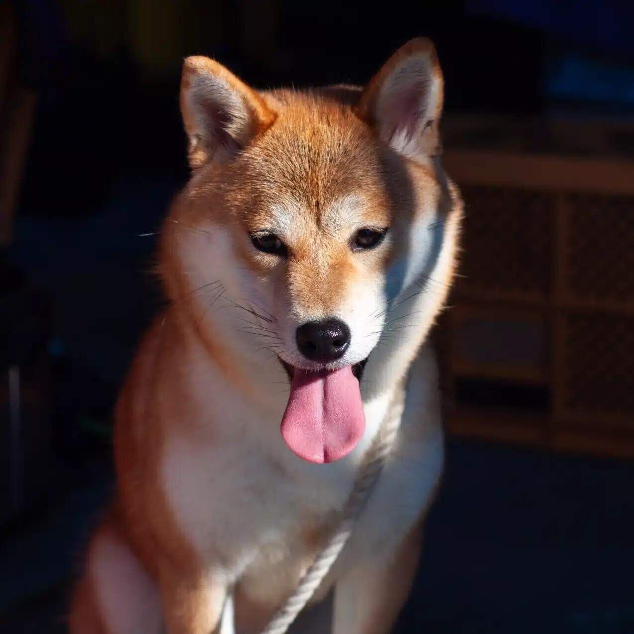 すな