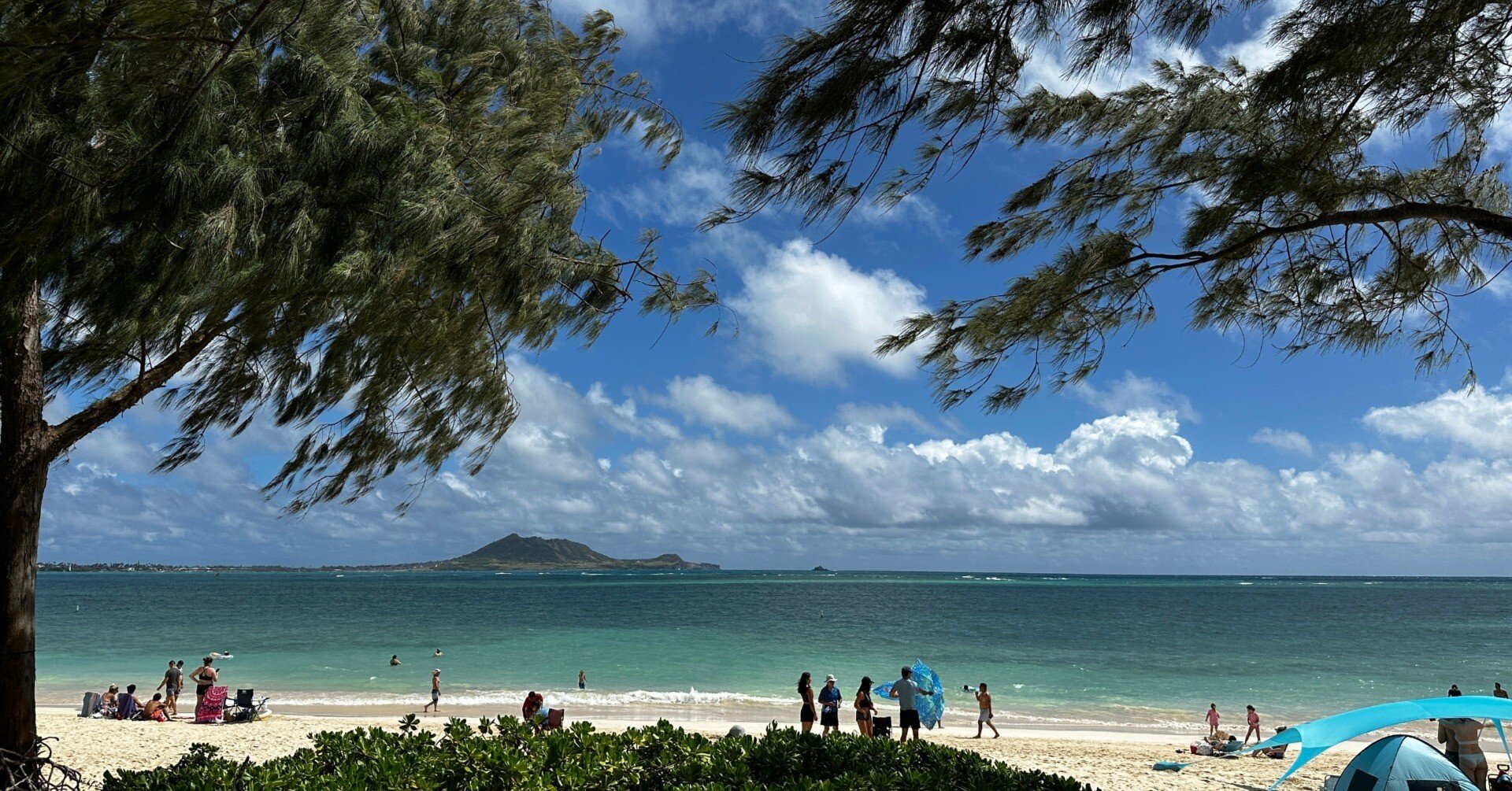 ae168231e825183ebe022f7f816d22